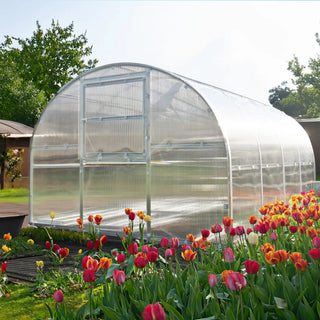 PrimeGreenhouses - Heavy Duty Polycarbonate Tunnel Greenhouse "The Timeless" - Galvanized Steel Frame, 4mm/6mm Twin-Wall Anti-UV