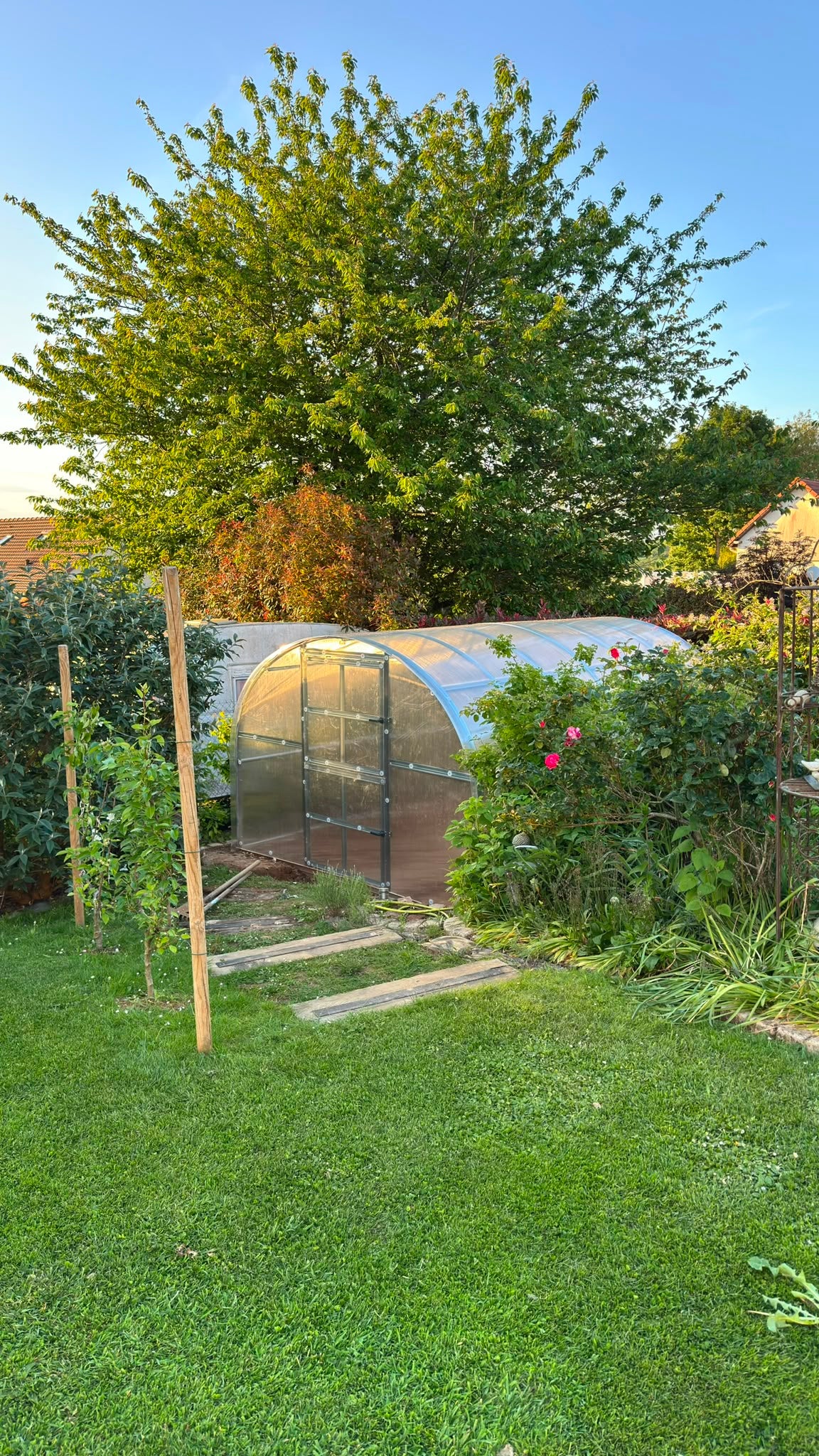 Polycarbonate Greenhouses PrimeGreenHouses2