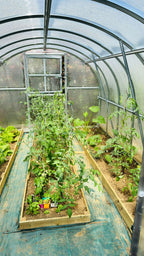 Polycarbonate Greenhouses PrimeGreenHouses4
