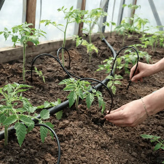 Drip irrigation kit for a greenhouse