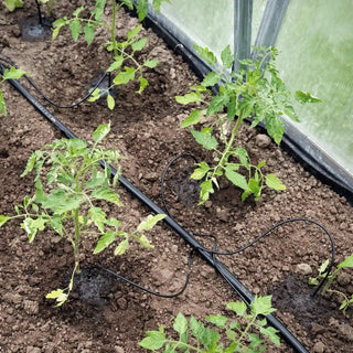 Système d’irrigation (goutte à goutte) automatique pour serre de jardin en polycarbonate AtmoSerre