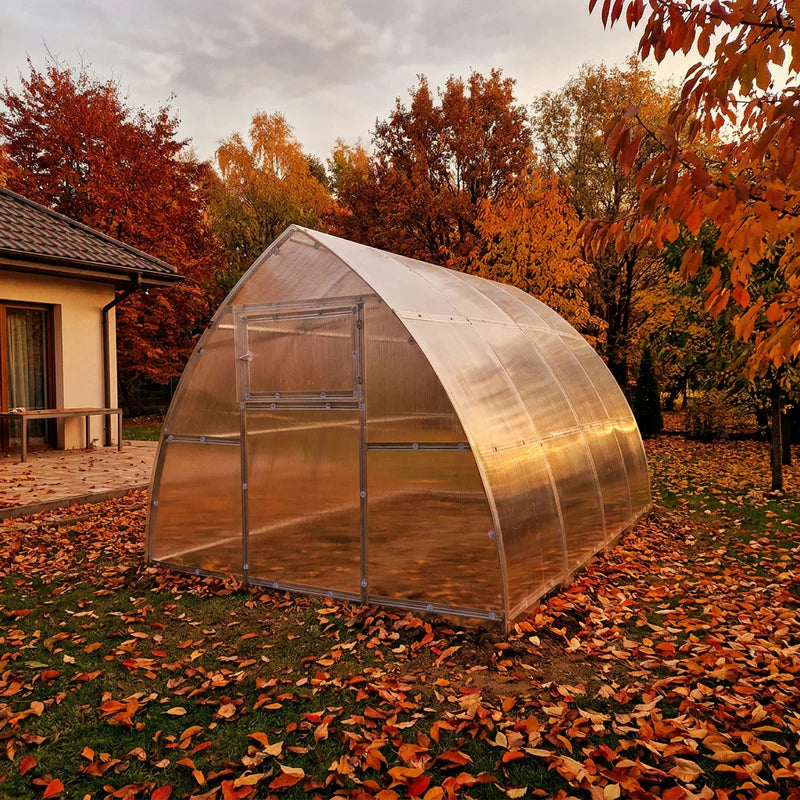 Fall